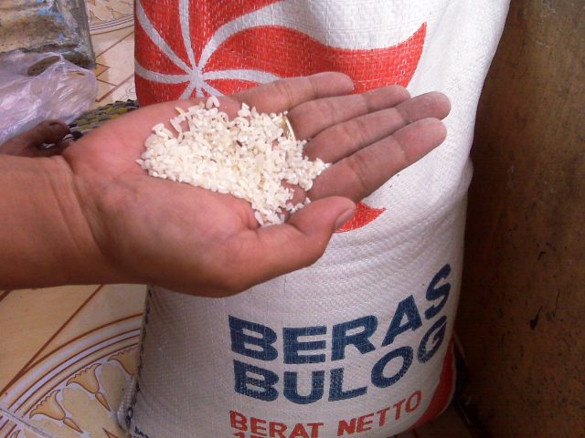 Beras-BULOG-berkutu