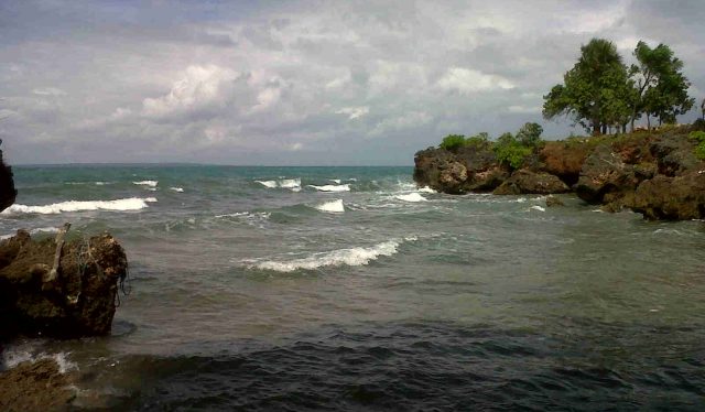 IMG04942-20130616-1211