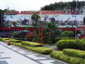 kebun-binatang-2