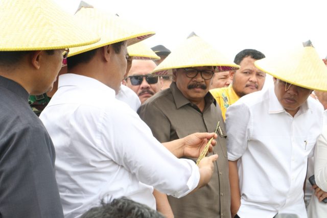 gubernur-soekarwo-jamin-stok-beras-jatim-aman