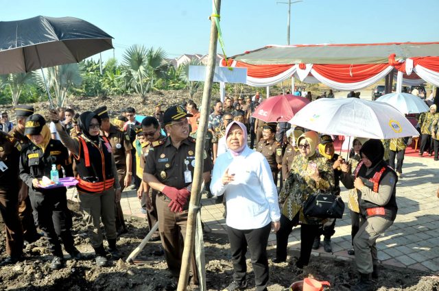 Risma tanam di taman harmoni 5