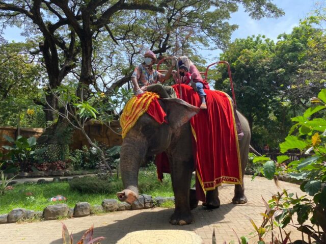 KBS - Tunggang Gajah September